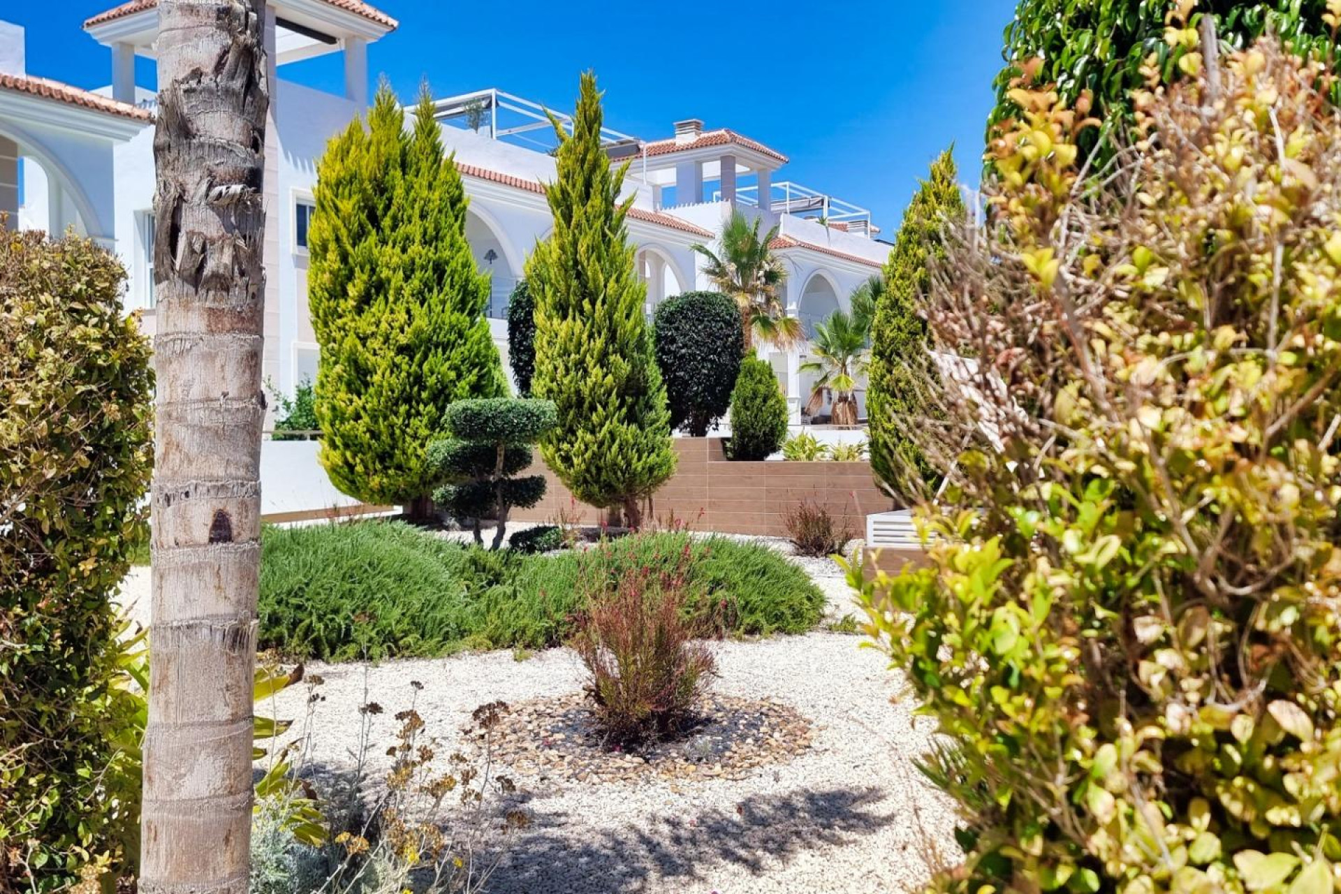 Reventa - Bungalow - Planta Baja - Rojales - Centro de la Ciudad Quesada