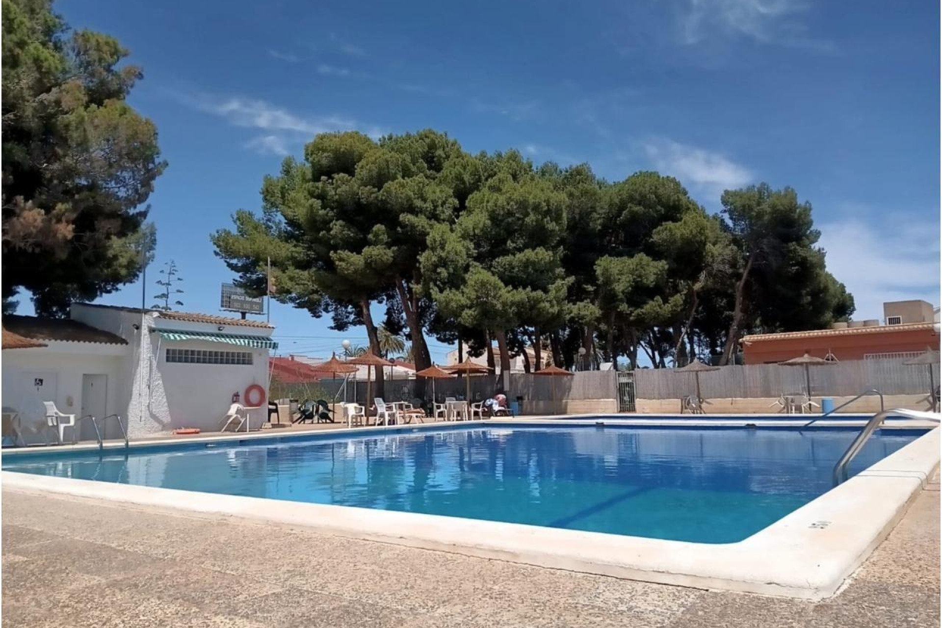 Reventa - Bungalow - Planta Baja - Torrevieja - El limonar