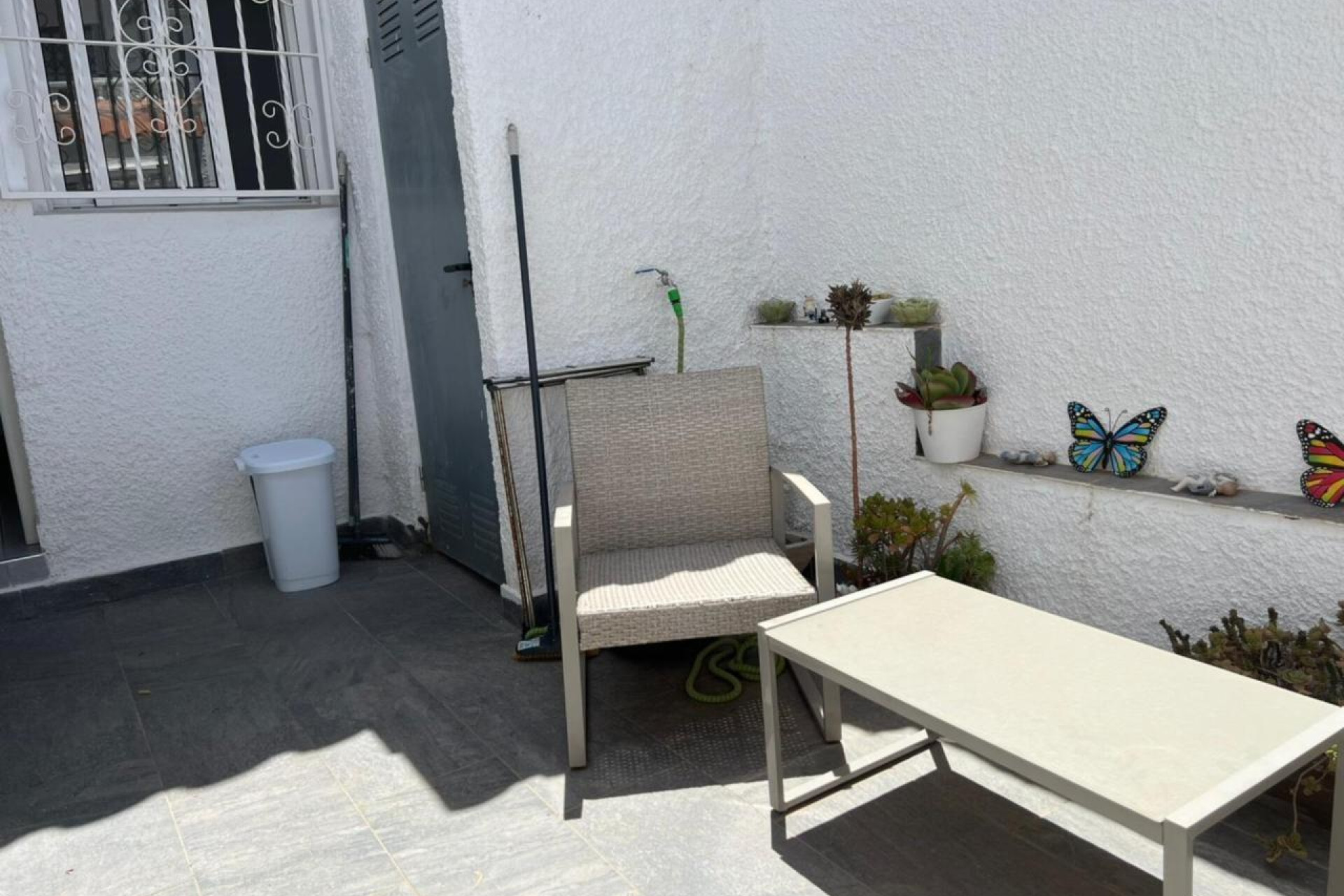 Reventa - Bungalow - Planta Baja - Torrevieja - El limonar