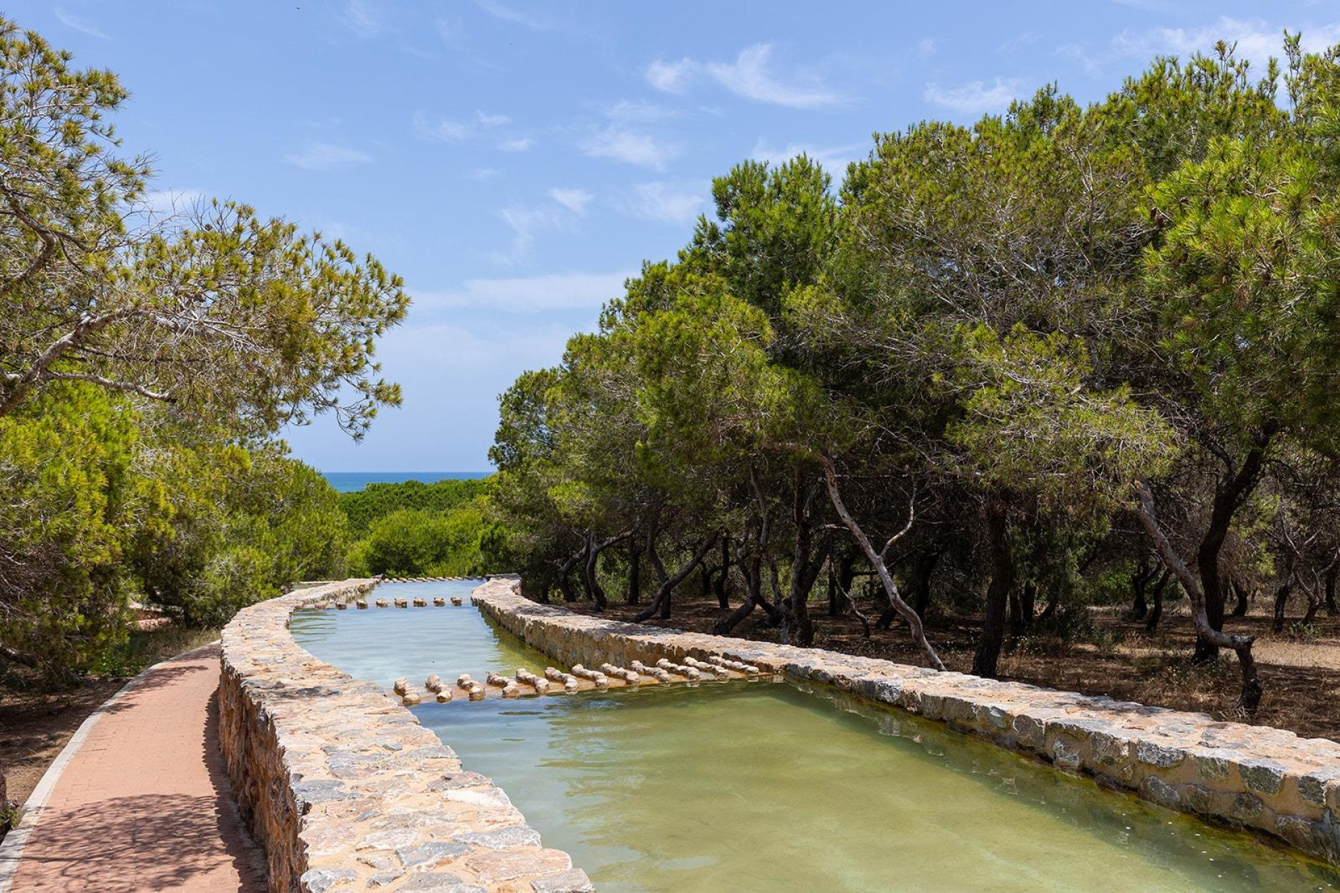 Reventa - Bungalow - Planta Baja - Torrevieja - La Mata