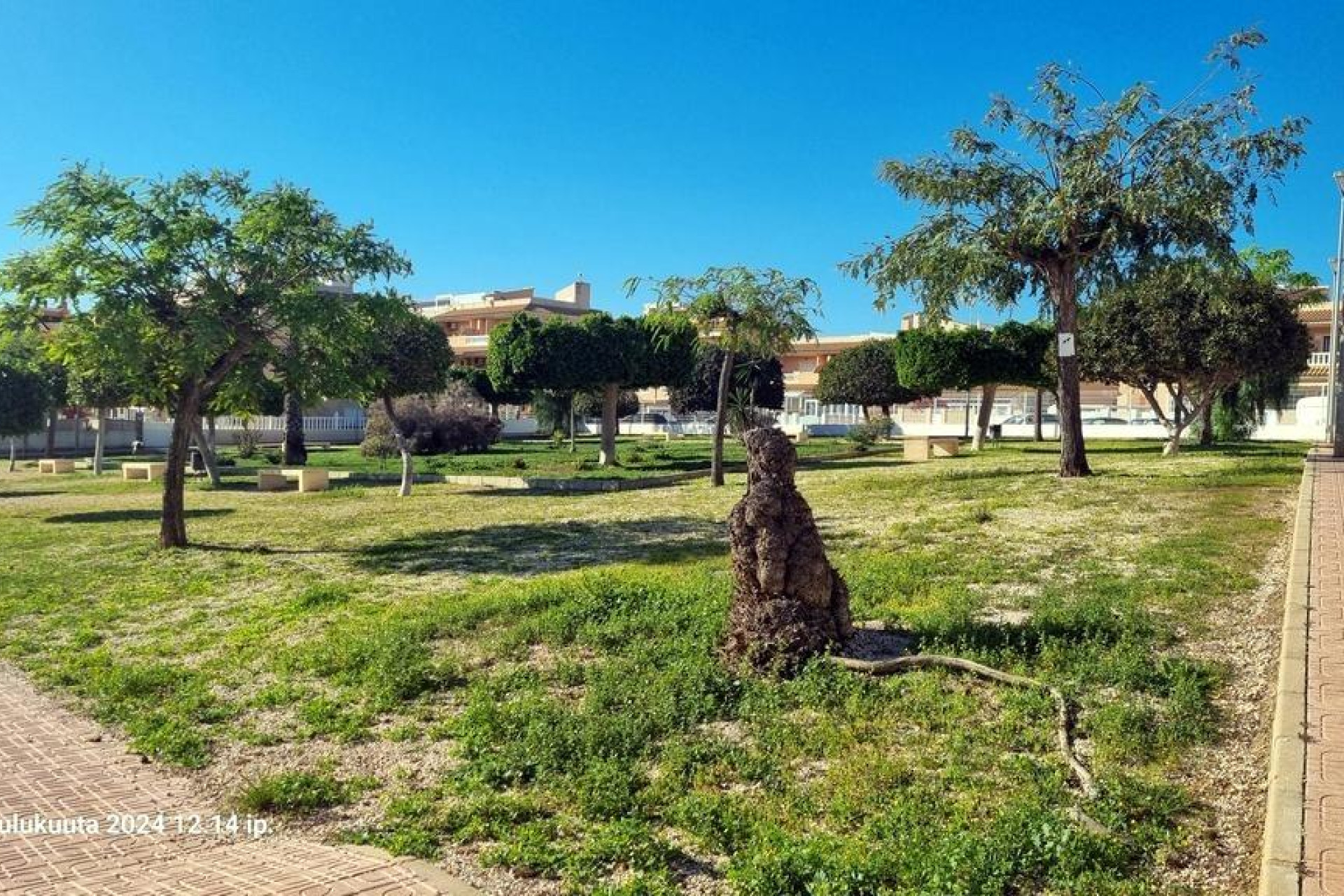 Reventa - Bungalow - Planta Baja - Torrevieja - La Mata