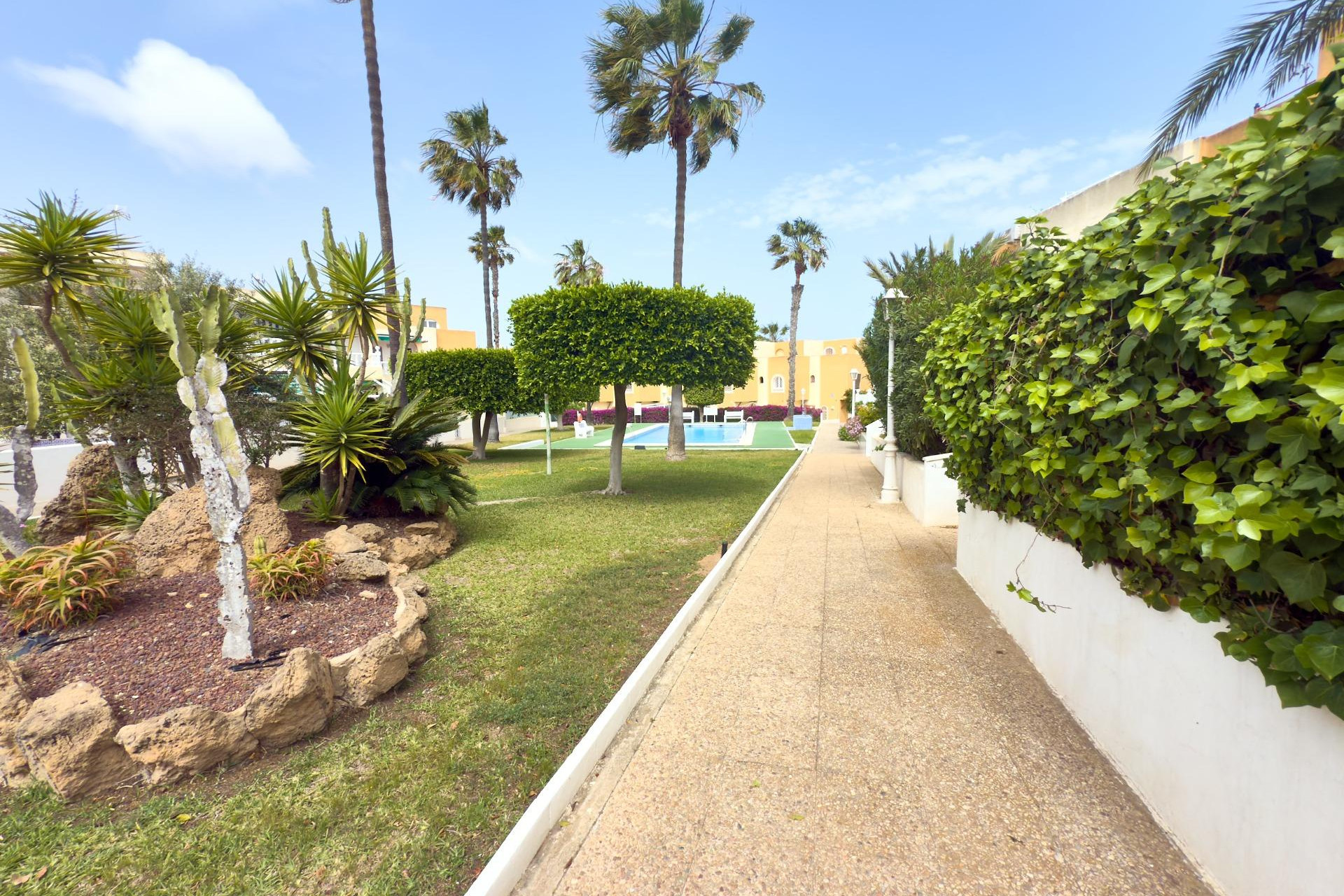 Reventa - Bungalow - Planta Baja - Torrevieja - Torreblanca