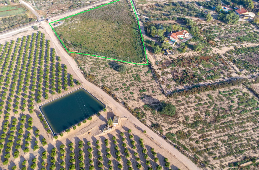 Reventa - Country land - Crevillent - Comunidad valenciana