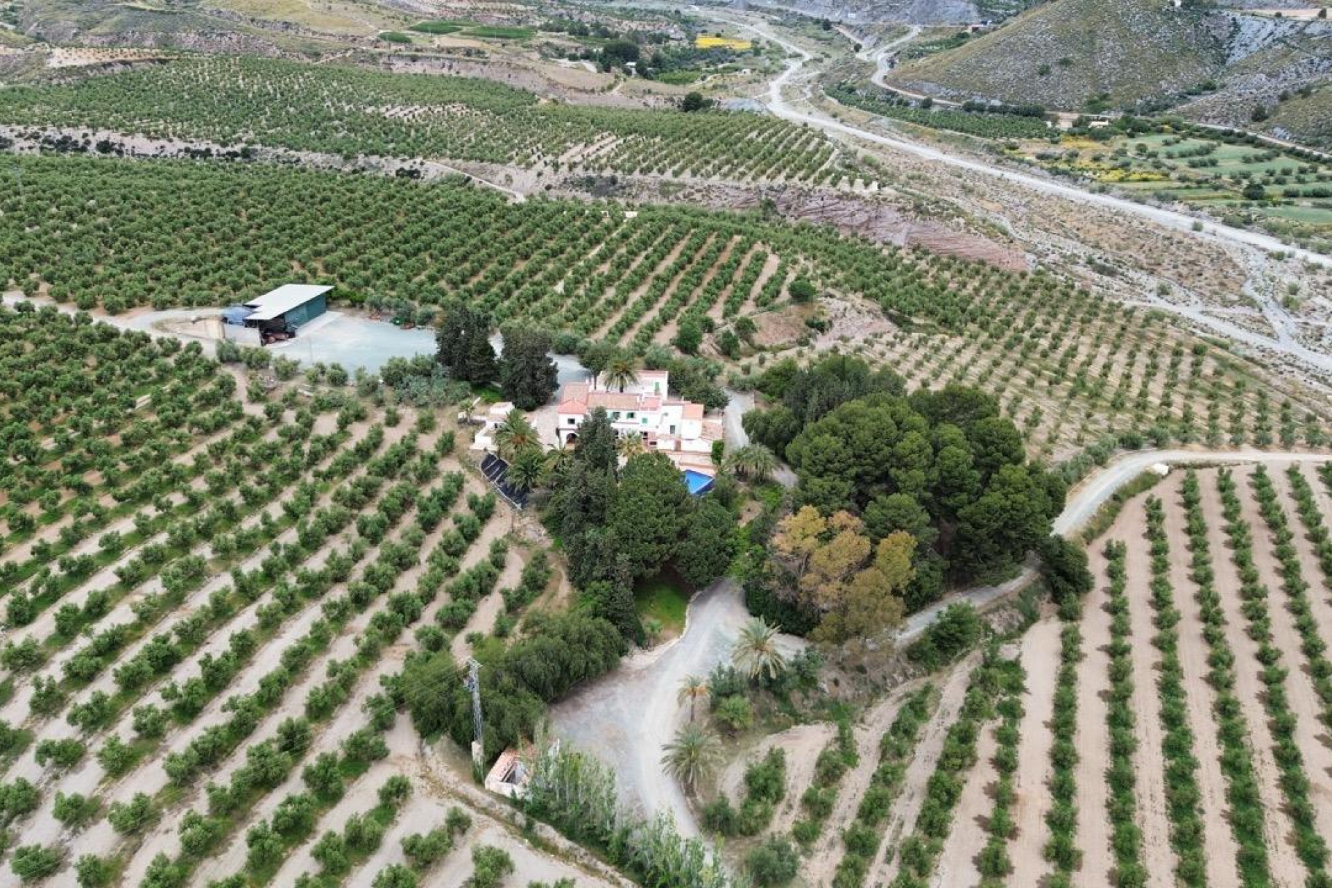 Reventa - Country land - Murcia - Rincón de Seca