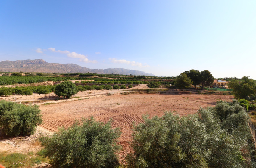 Reventa - Country Property - Albatera - Albatera - Country