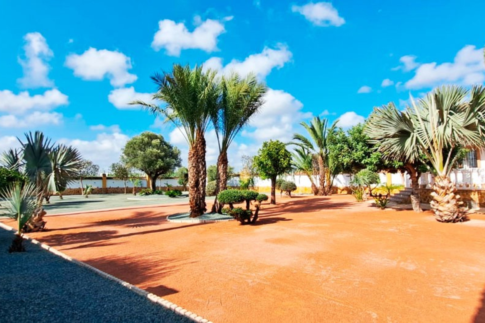 Reventa - Country Property - Catral - Catral - Country