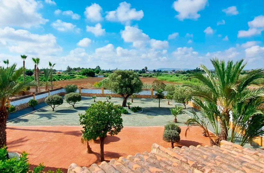 Reventa - Country Property - Catral - Catral - Country