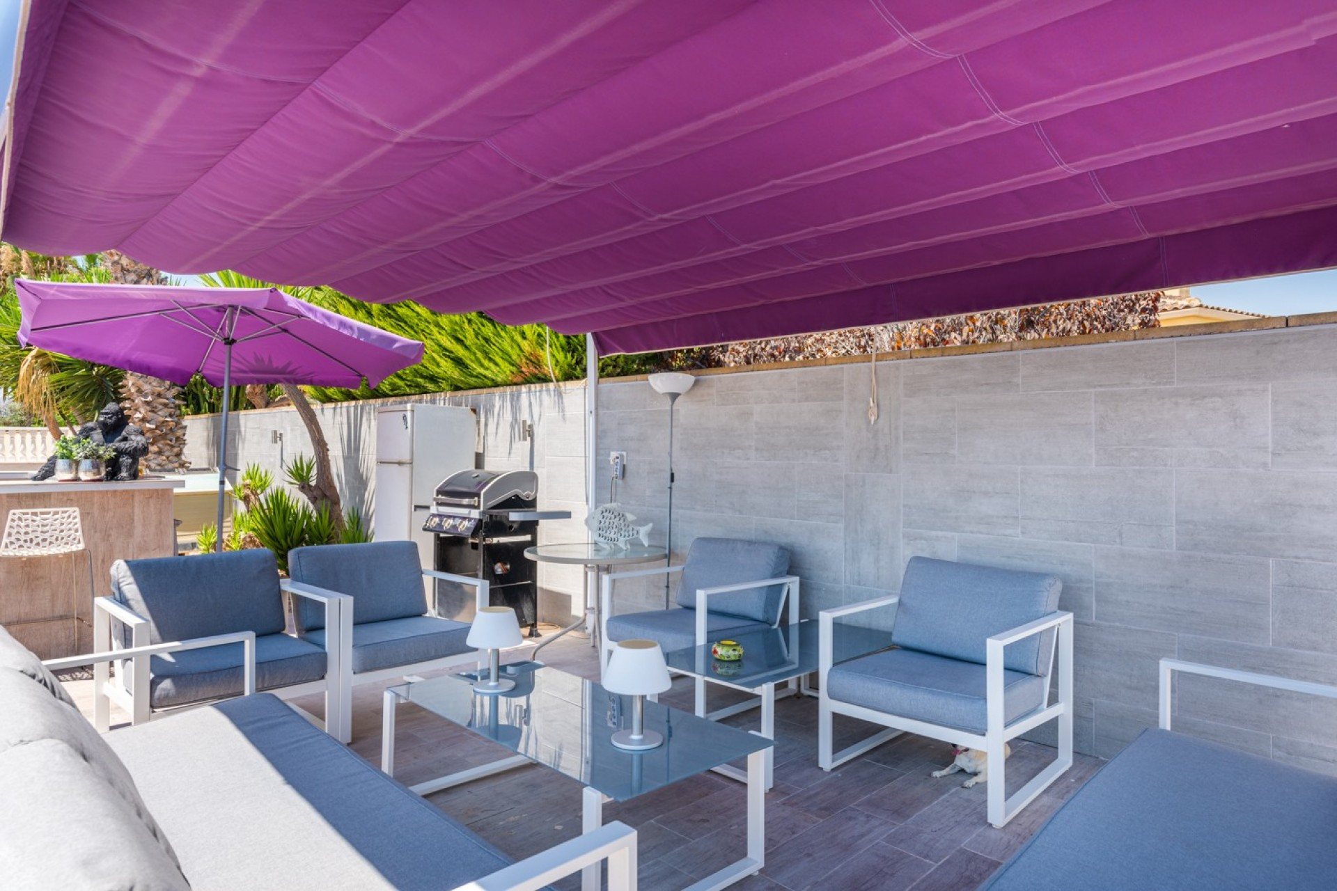 Reventa - Country Property - Catral - Catral - Country
