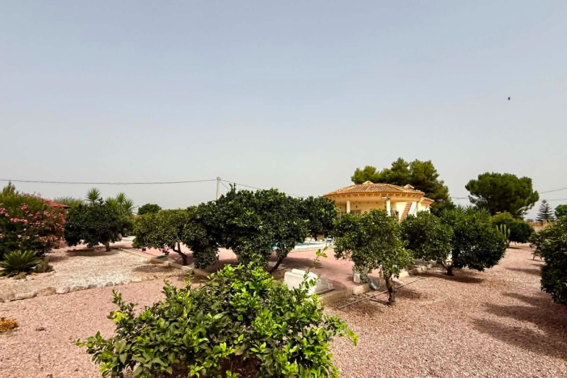 Reventa - Country Property - Catral