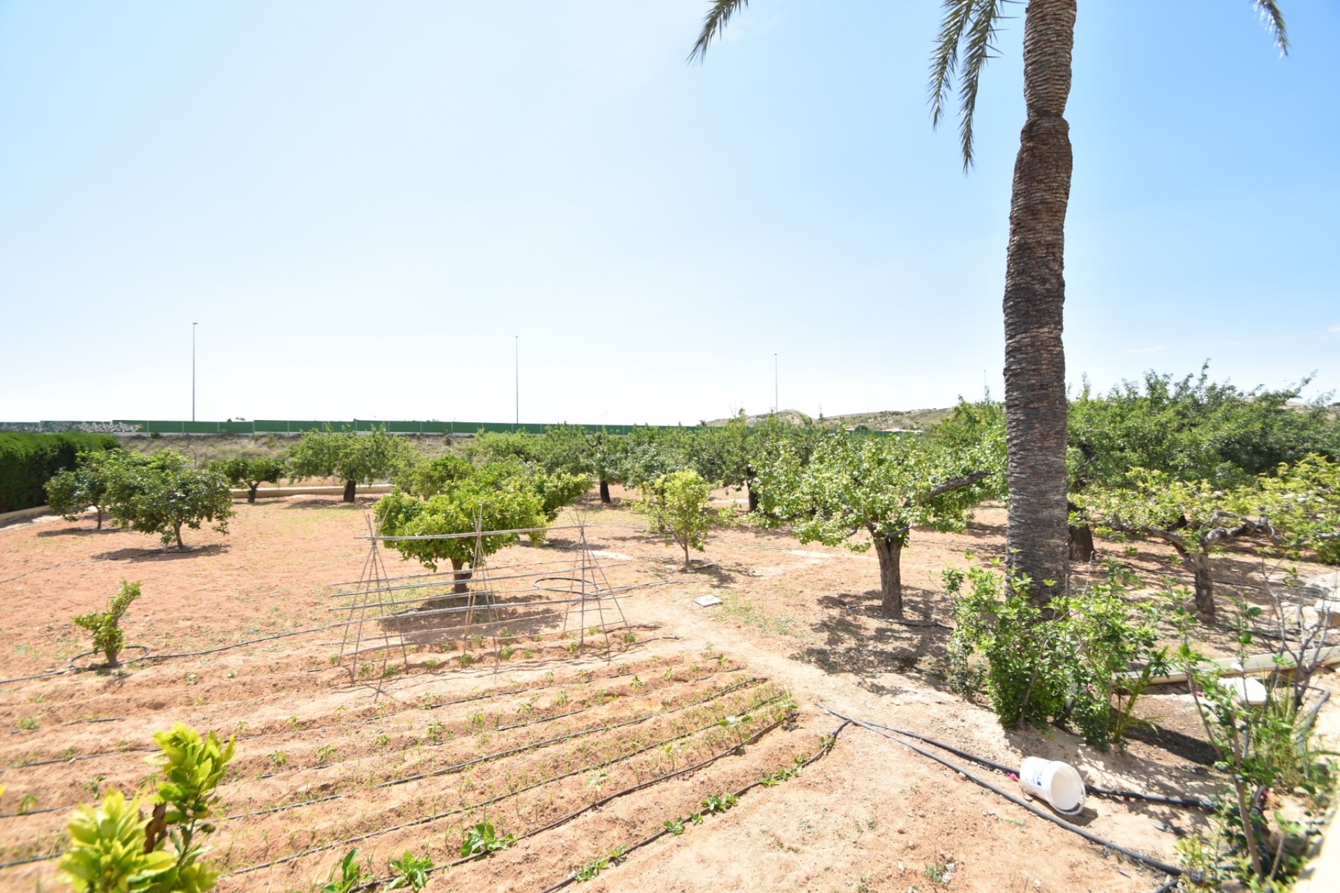 Reventa - Country Property - Elche - Sierra