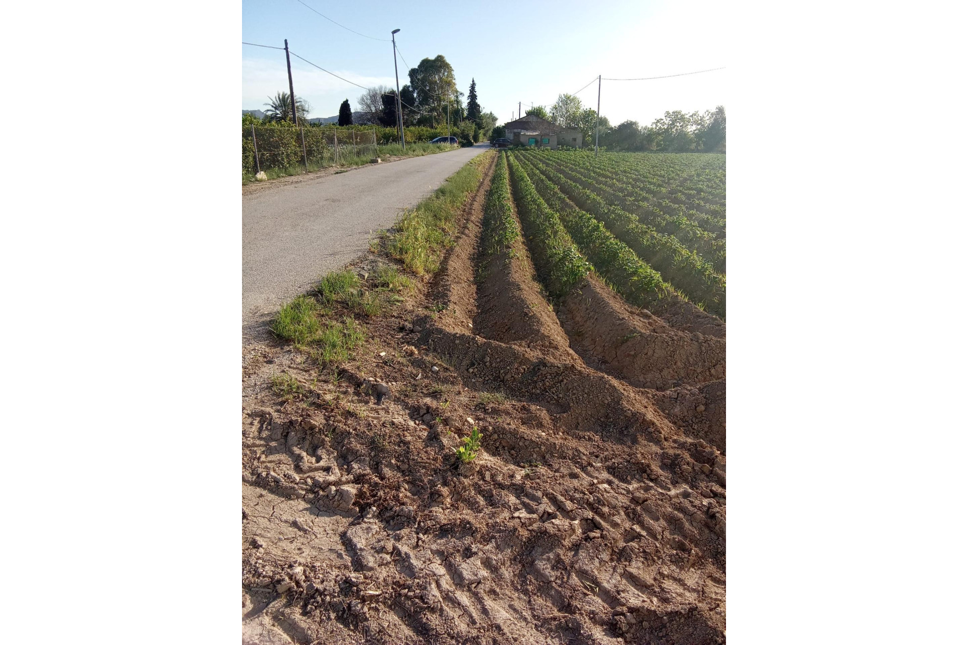 Reventa - Country Property - Orihuela - Correntías Bajas