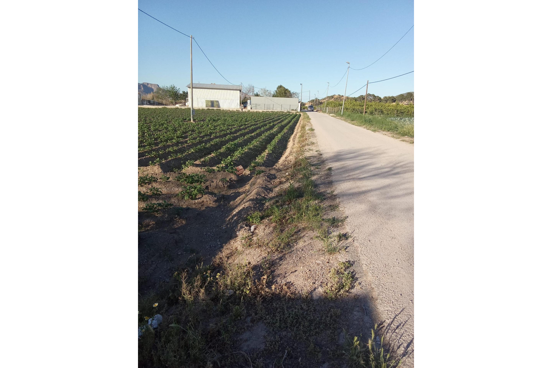 Reventa - Country Property - Orihuela - Correntías Bajas