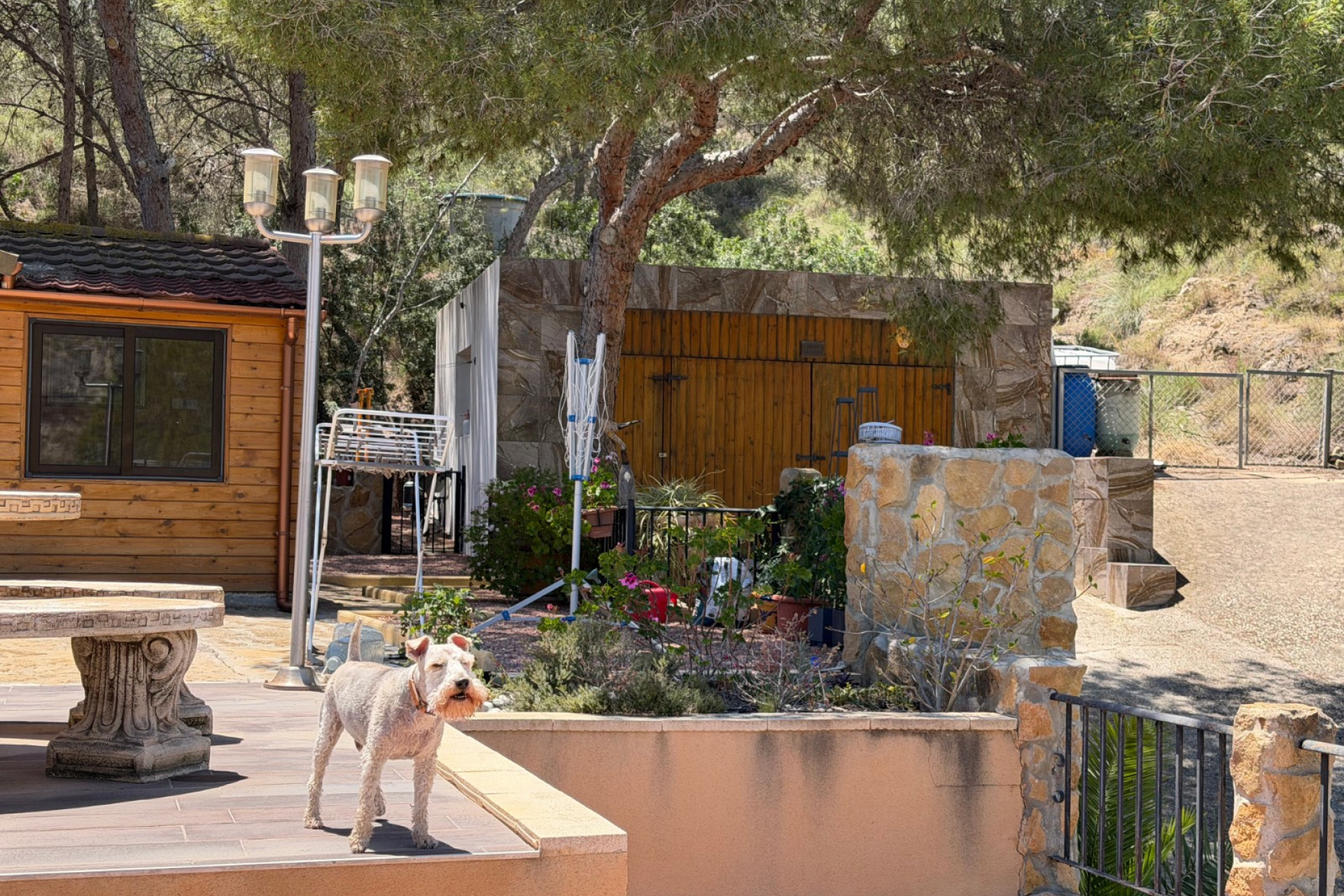 Reventa - Country Property - Orihuela - Torremendo