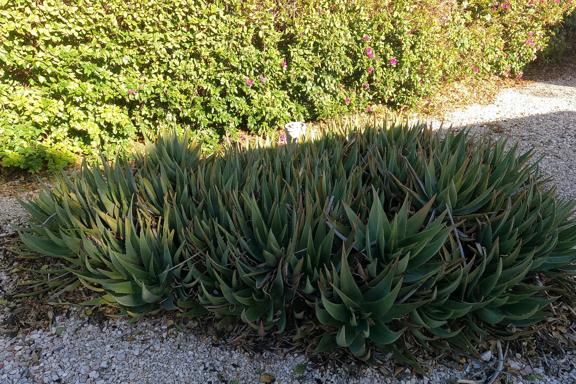 Reventa - Country Property - Orihuela