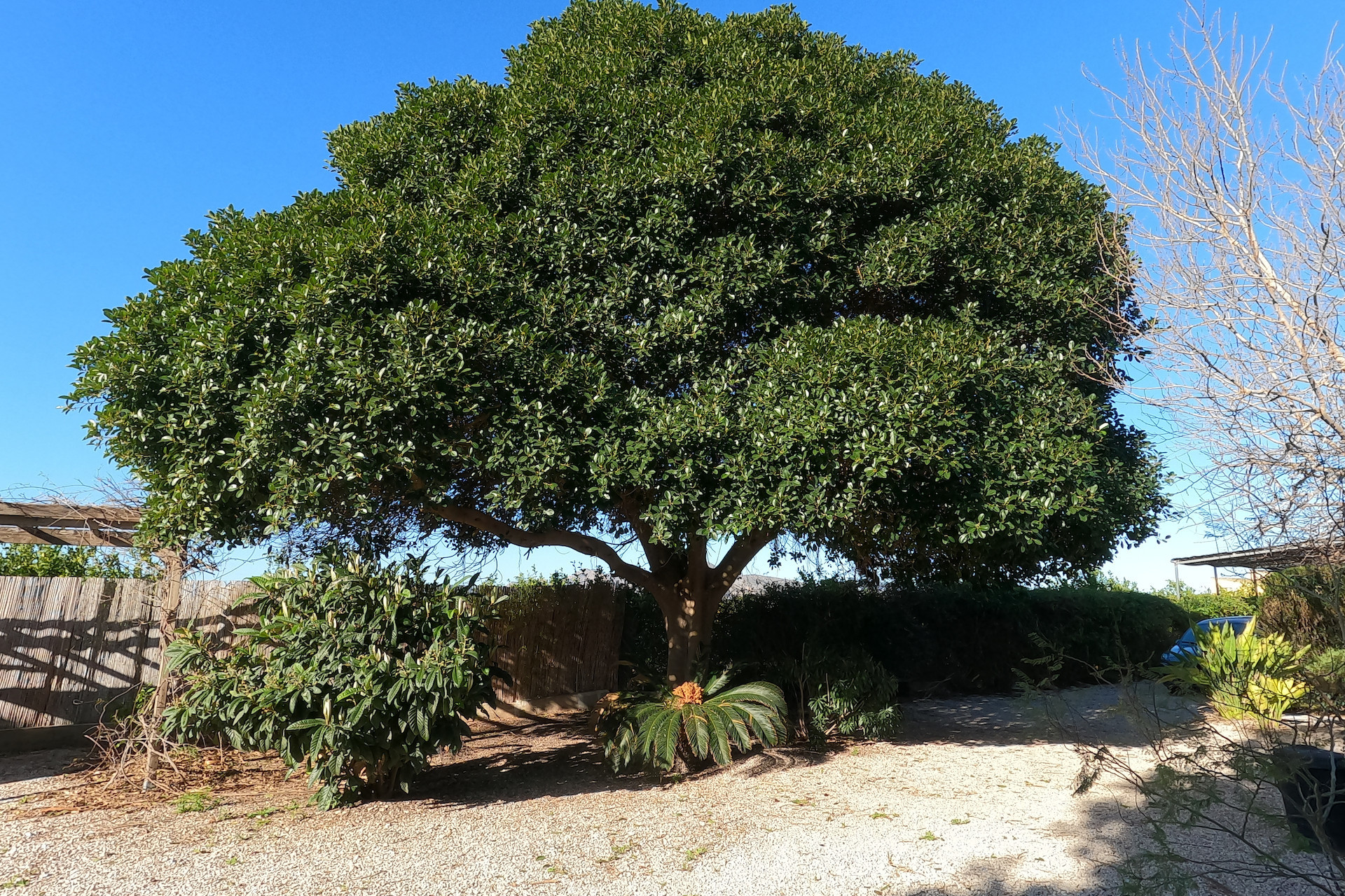 Reventa - Country Property - Orihuela