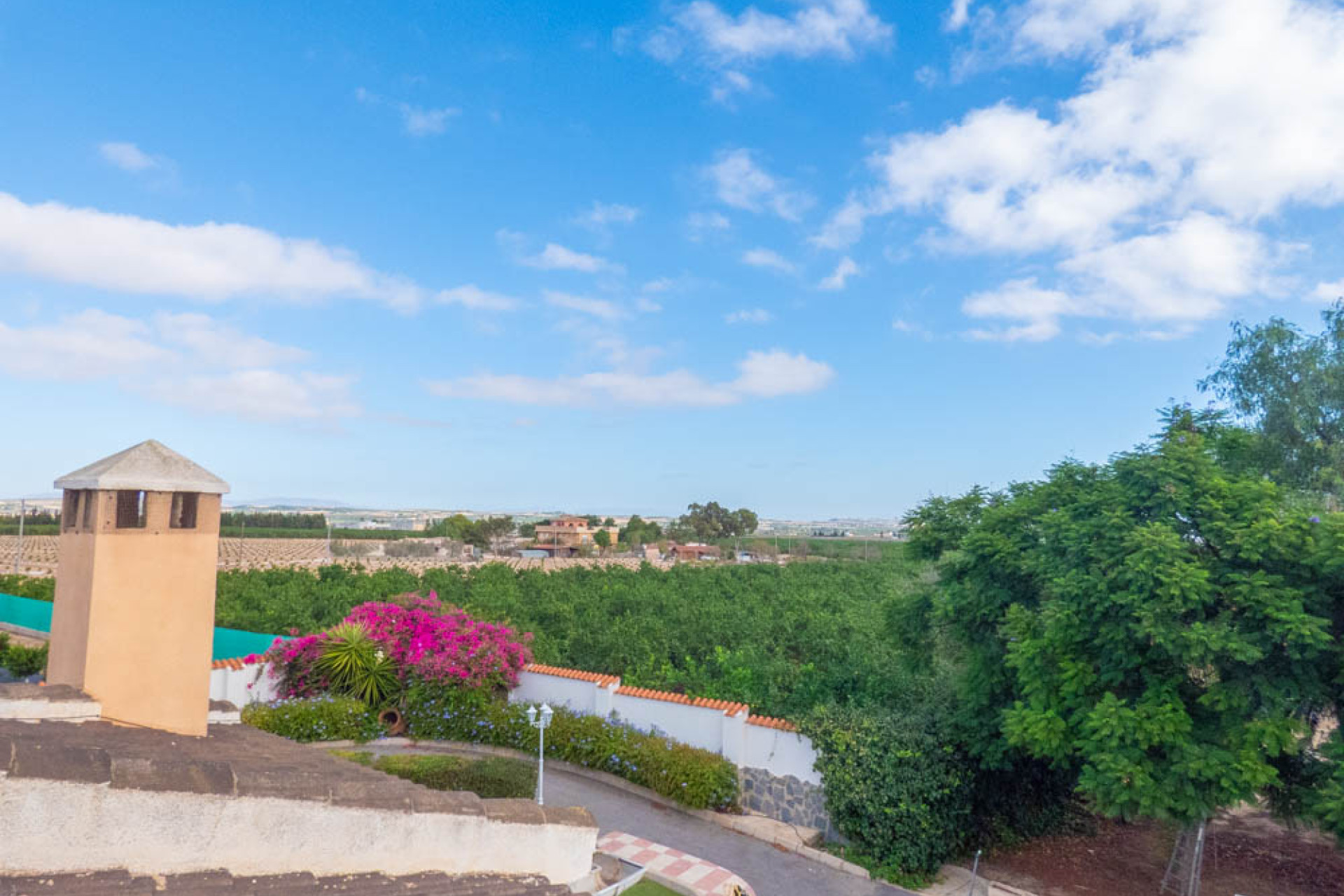 Reventa - Country Property - San Miguel de Salinas - San Miguel - Country