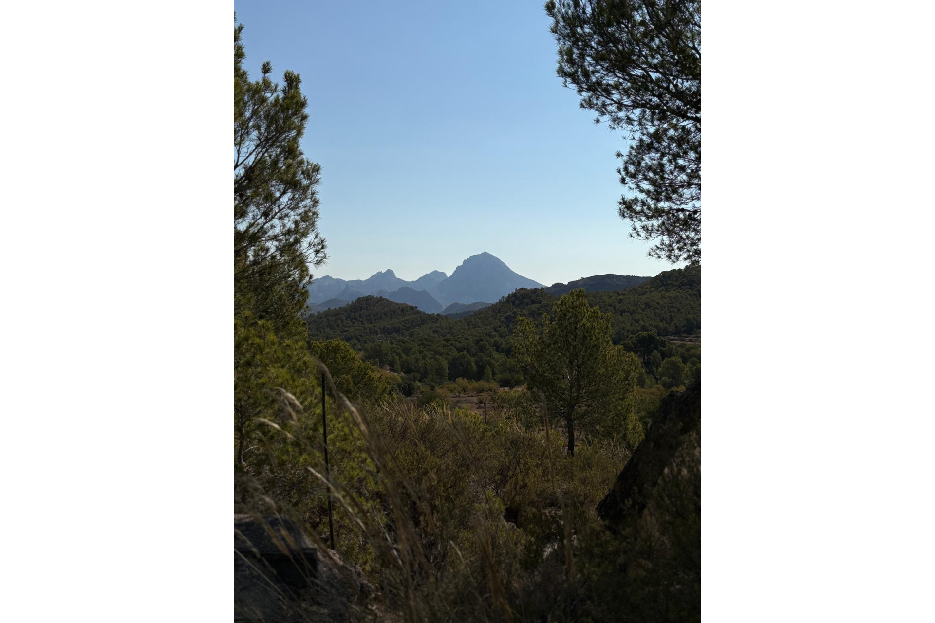 Reventa - Country Property - Villajoyosa - El Secanet - Hacienda del Sol