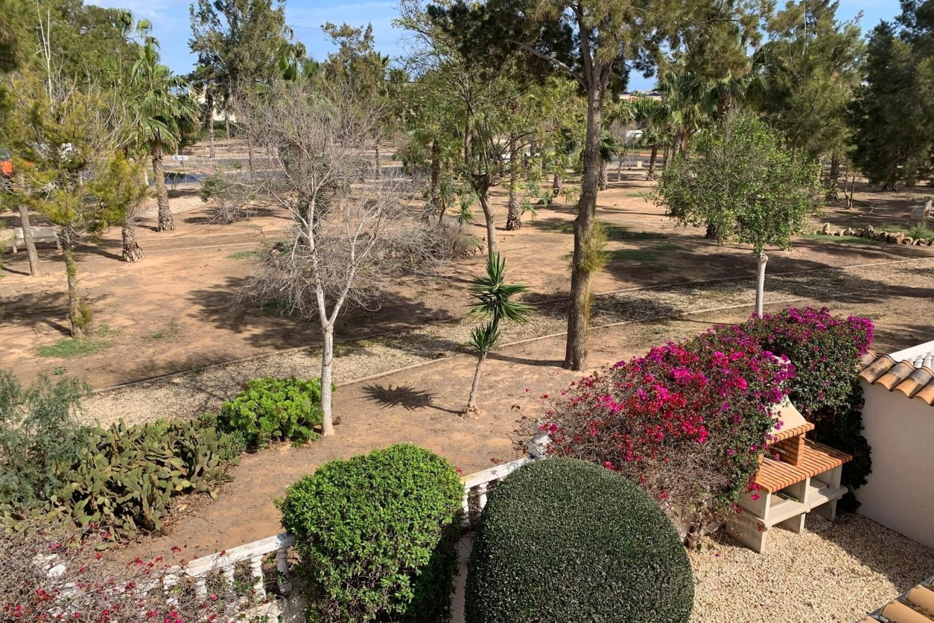 Reventa - Detached House / Villa - Guardamar del Segura - EL RASO