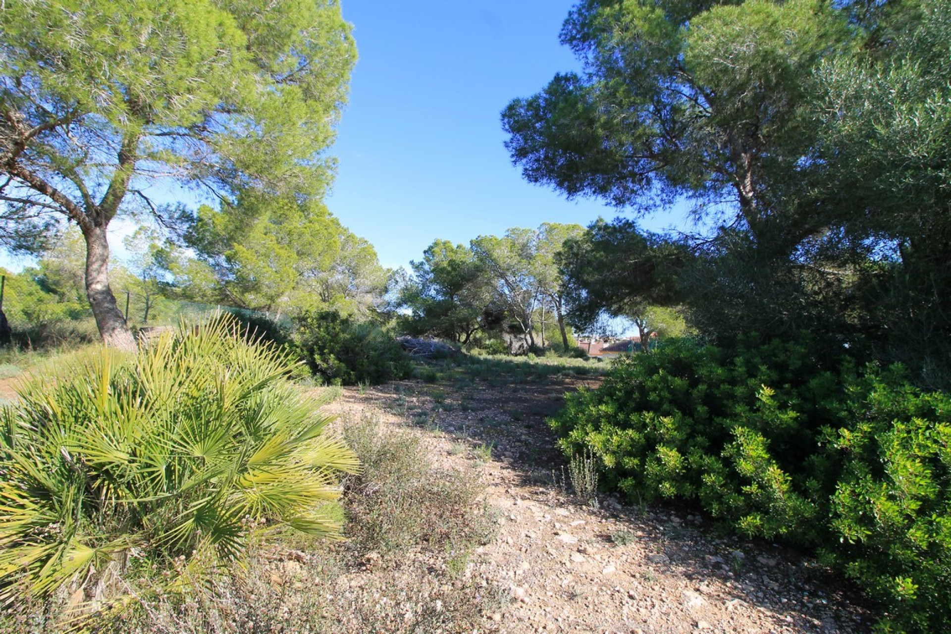 Reventa - Detached Villa - Mil Palmeras - Mil Palmeras - Town