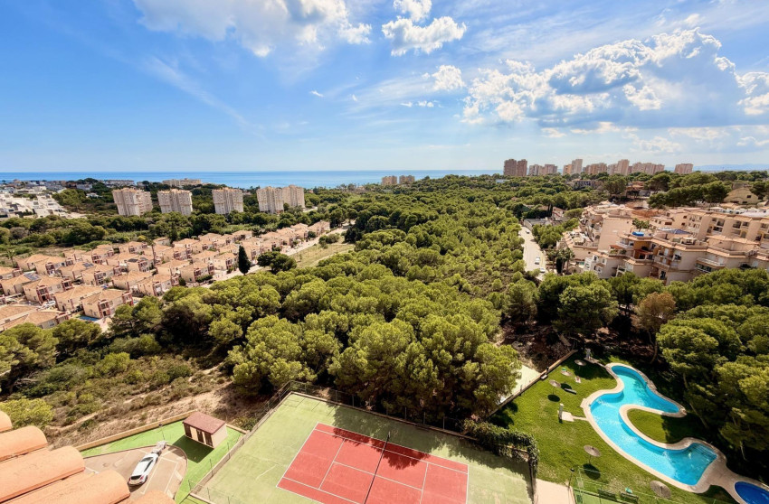 Reventa - Duplex - Orihuela Costa - Altos de Campoamor