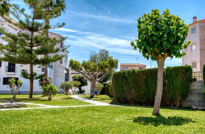 Reventa - Duplex - Torrevieja - Playa del cura