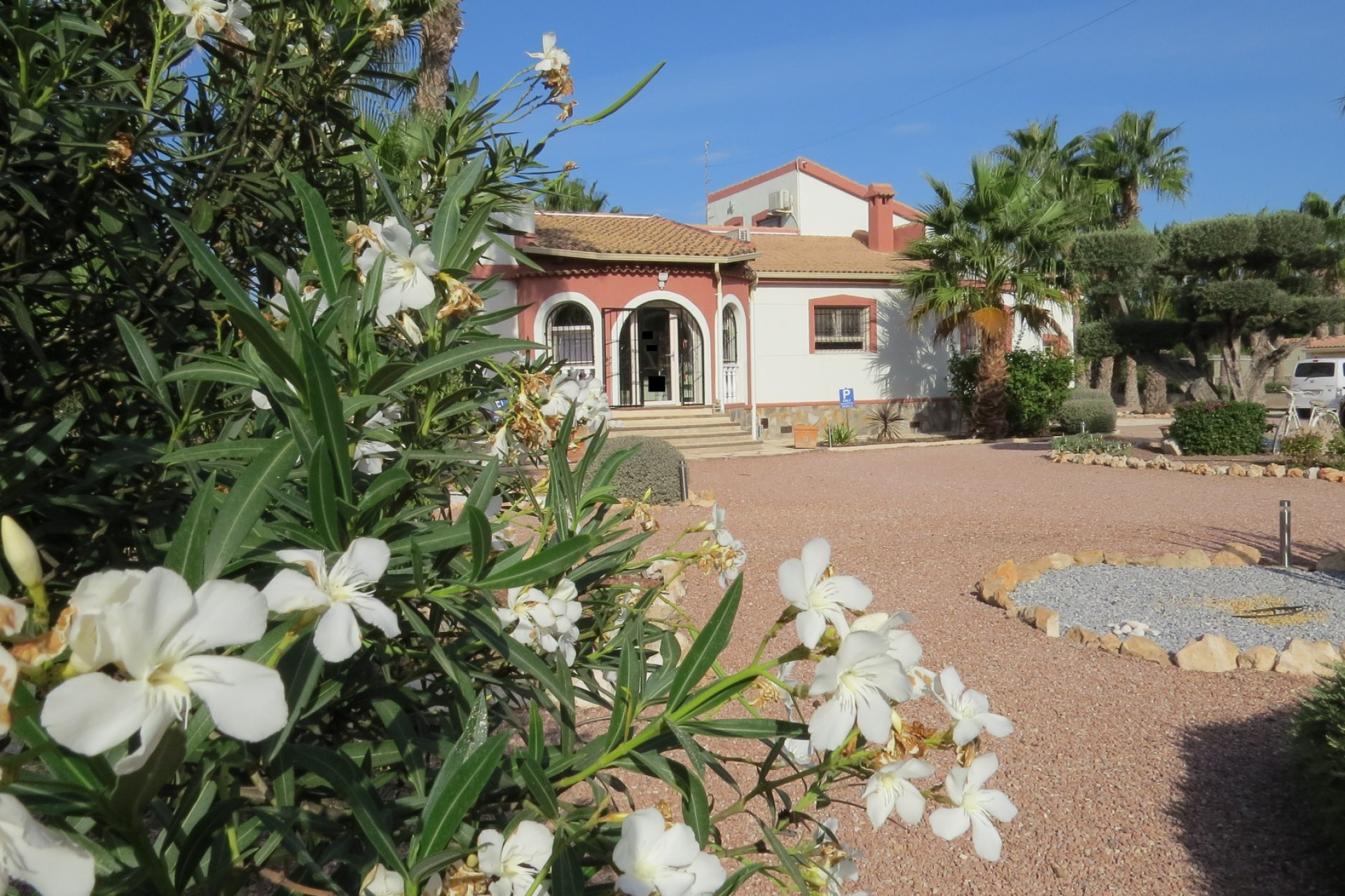 Reventa - Finca / Country Property - Daya Vieja