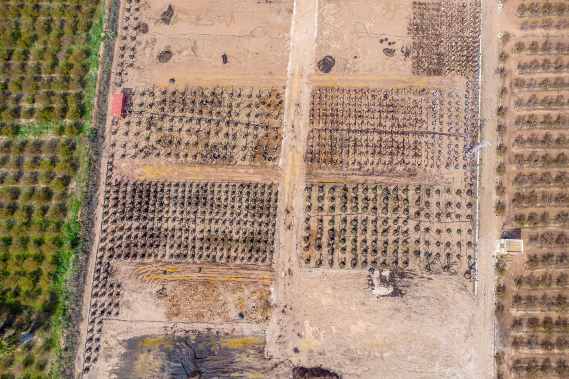 Reventa - Finca - Crevillente