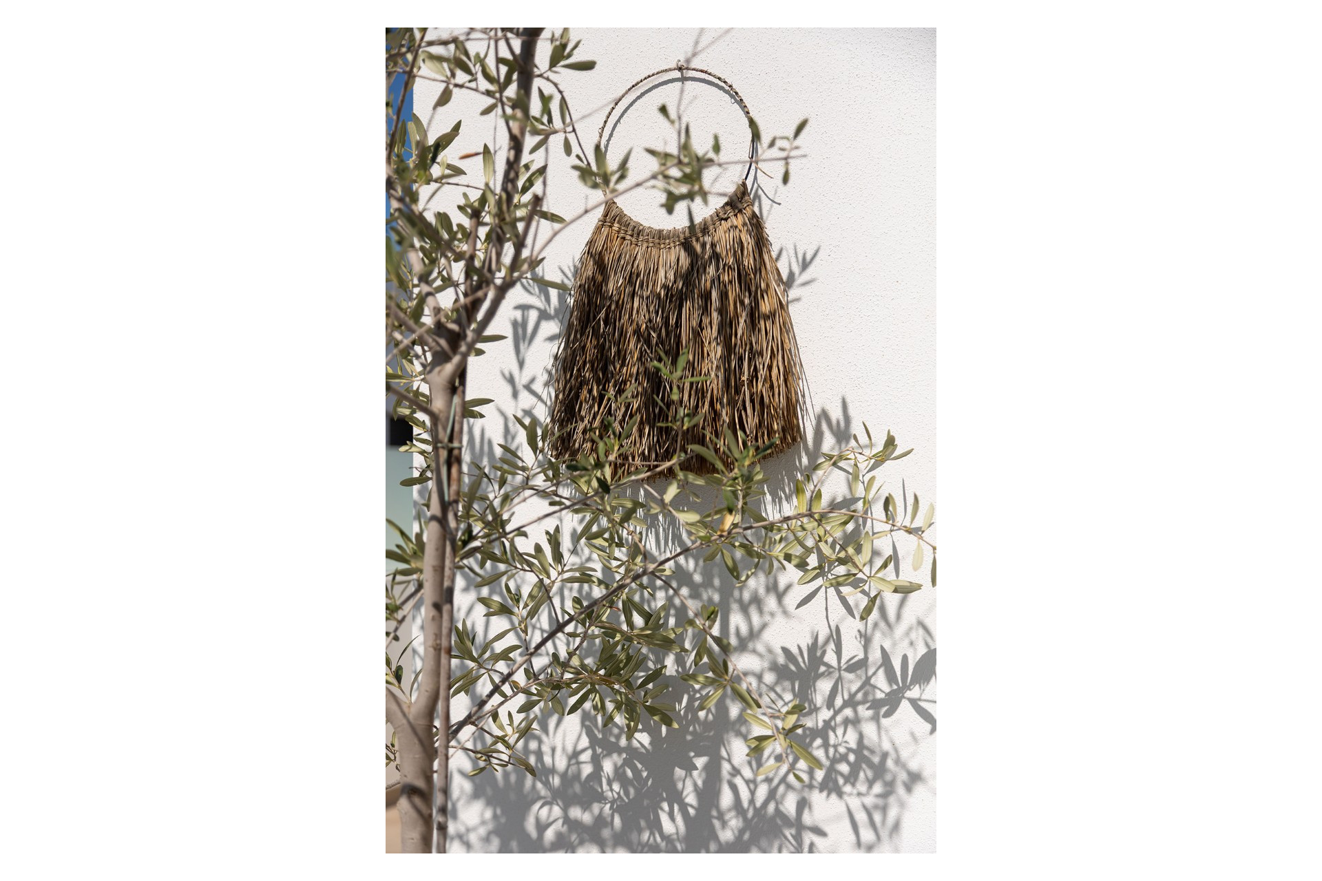 Reventa - House - Dolores