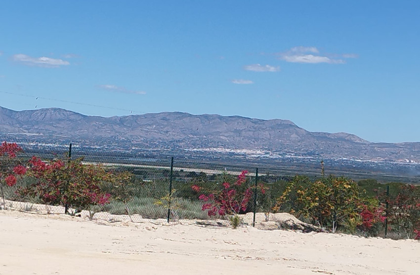 Reventa - Land and Plots - San Fulgencio - La Marina