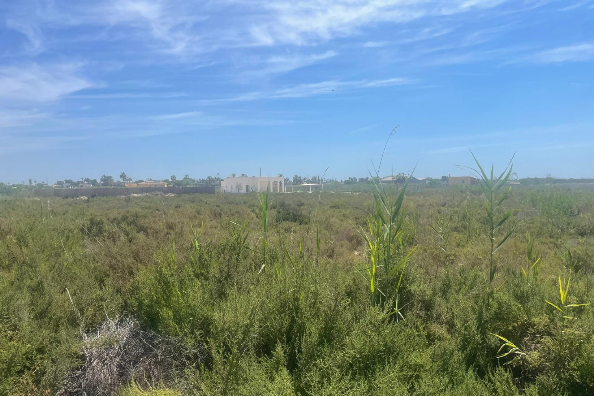 Reventa - Land - Catral