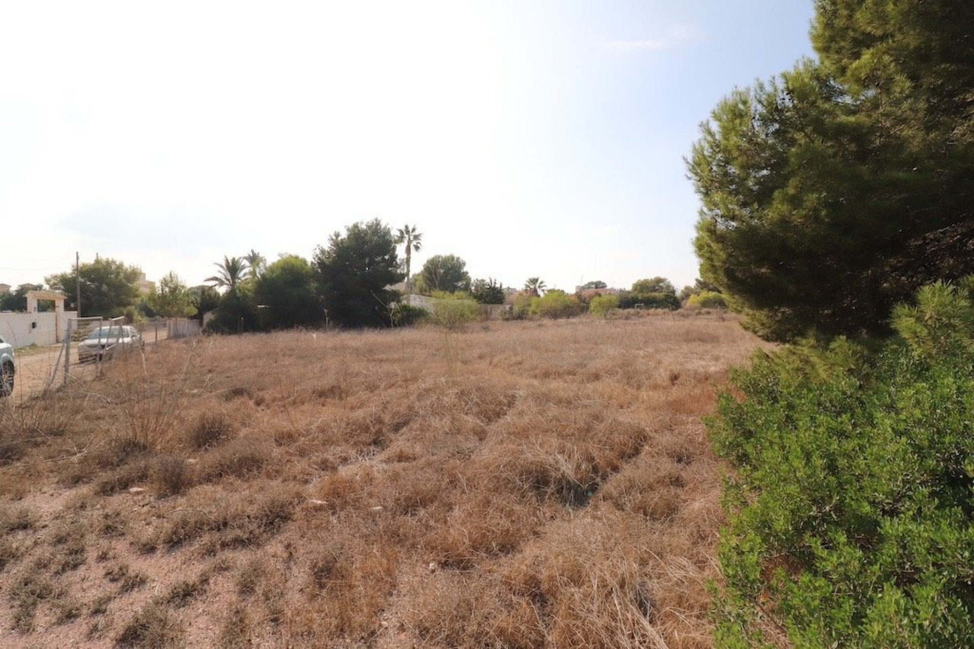 Reventa - Plot - Orihuela Costa - Lomas de Cabo Roig