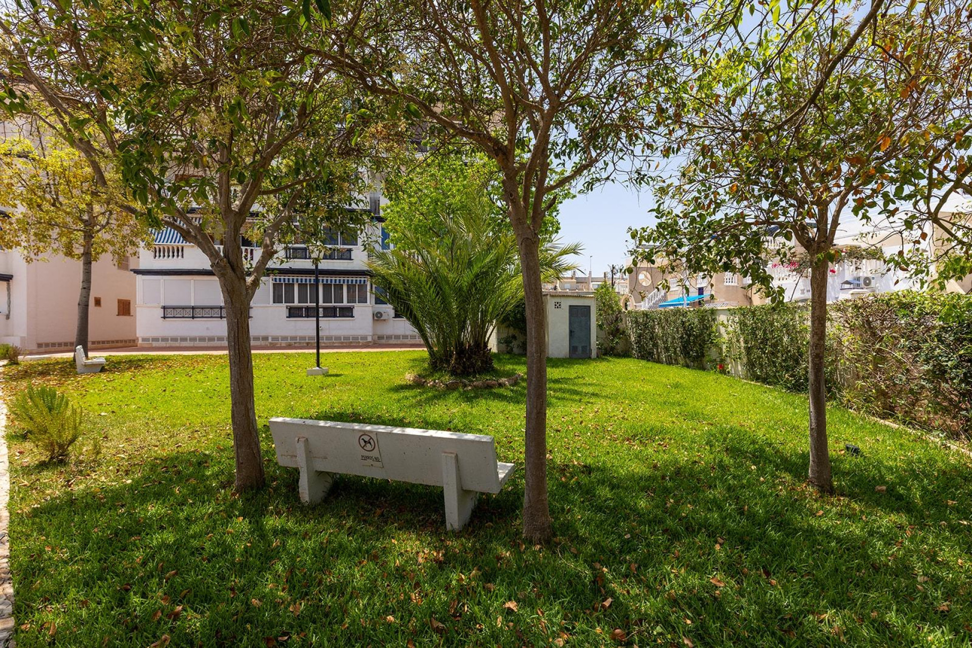 Reventa - Semi - Torrevieja - La Mata