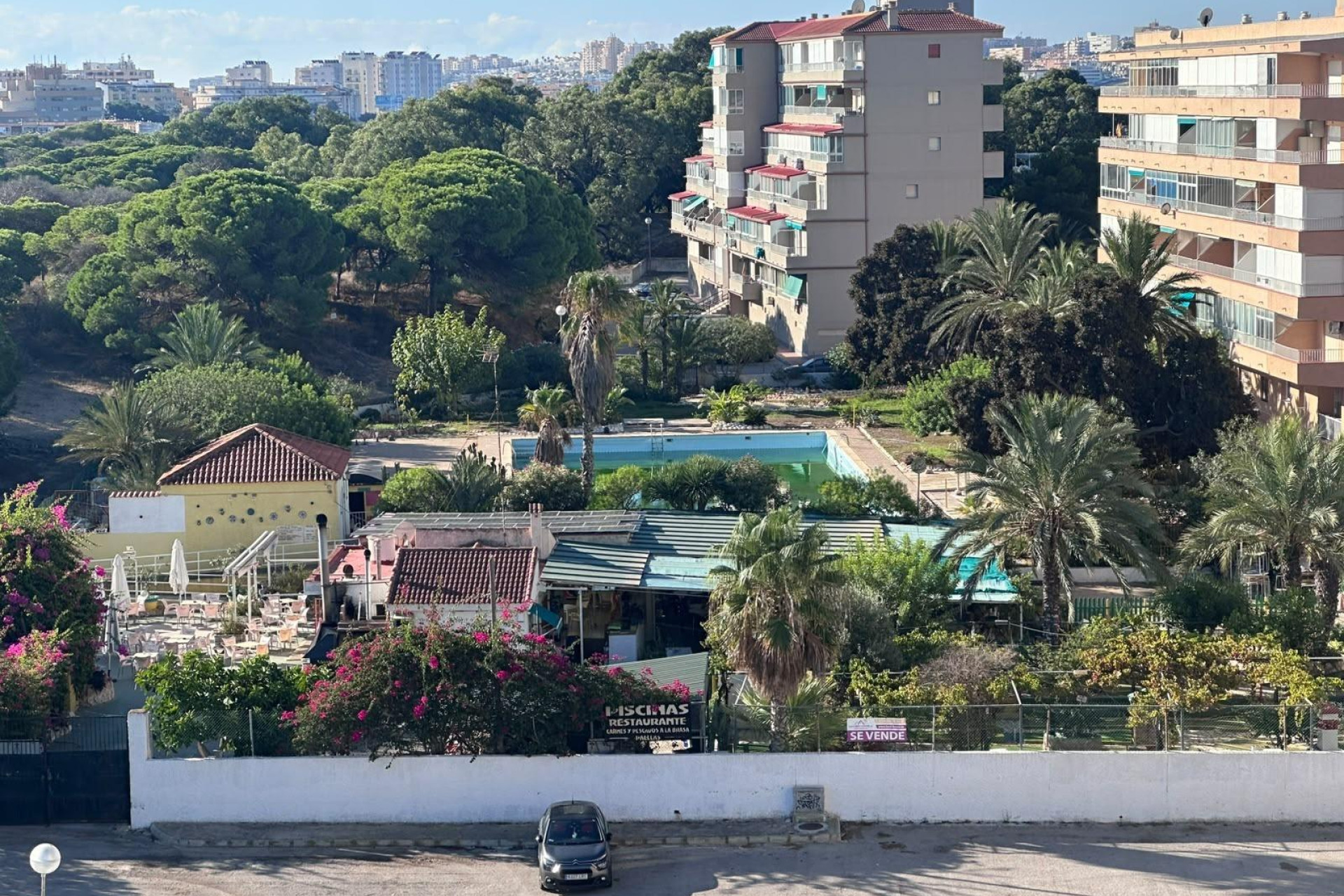 Reventa - Studio - Guardamar del Segura - Lomas de Polo-Pinomar