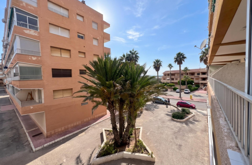 Reventa - Studio - Guardamar del Segura - Lomas de Polo-Pinomar