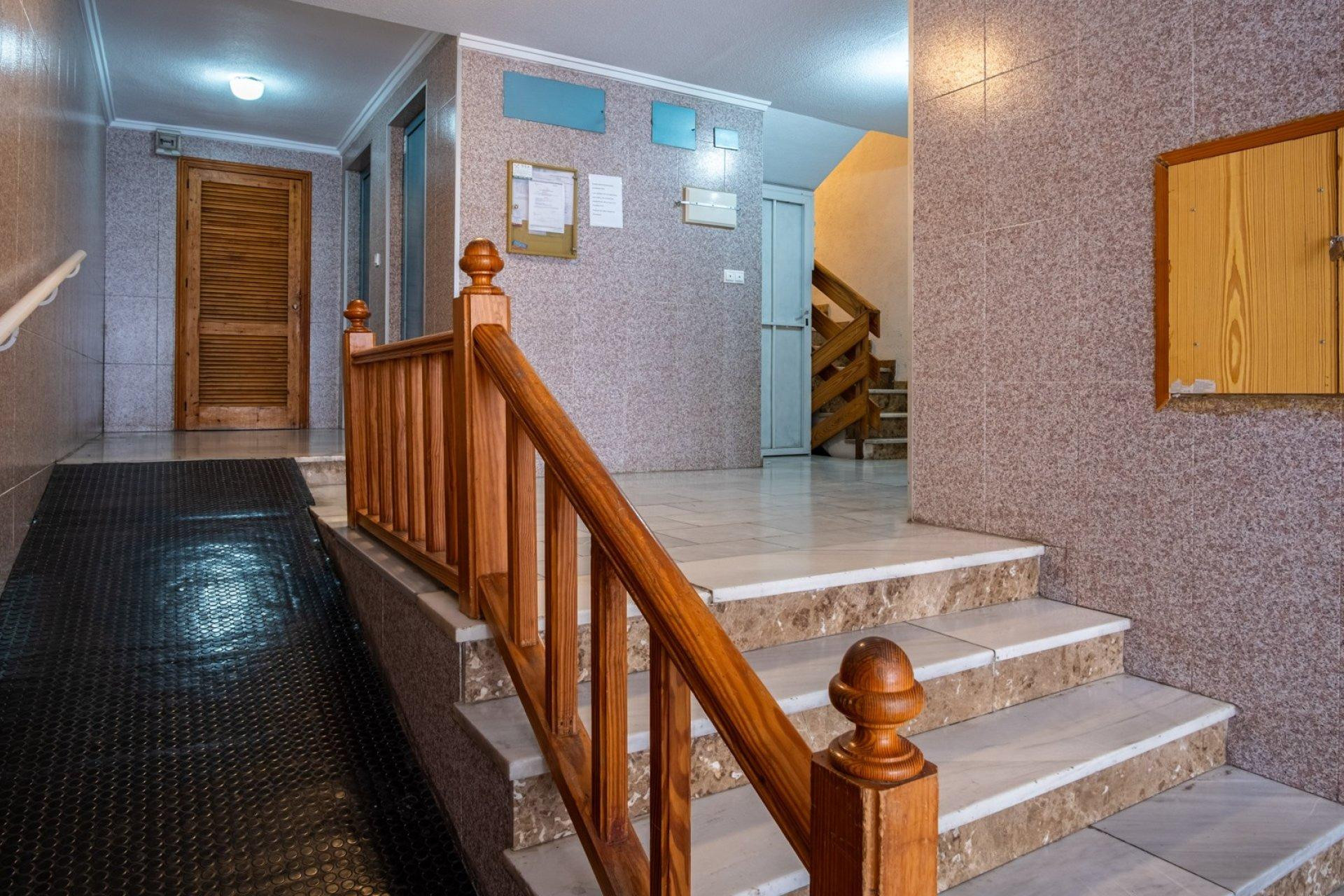 Reventa - Studio - Torrevieja - Estacion de autobuses