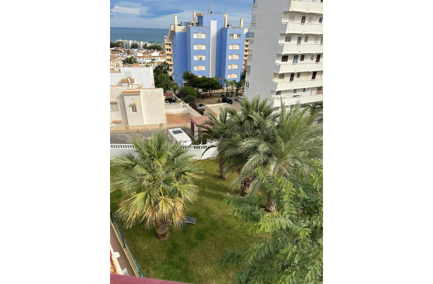 Reventa - Studio - Torrevieja - Torreblanca