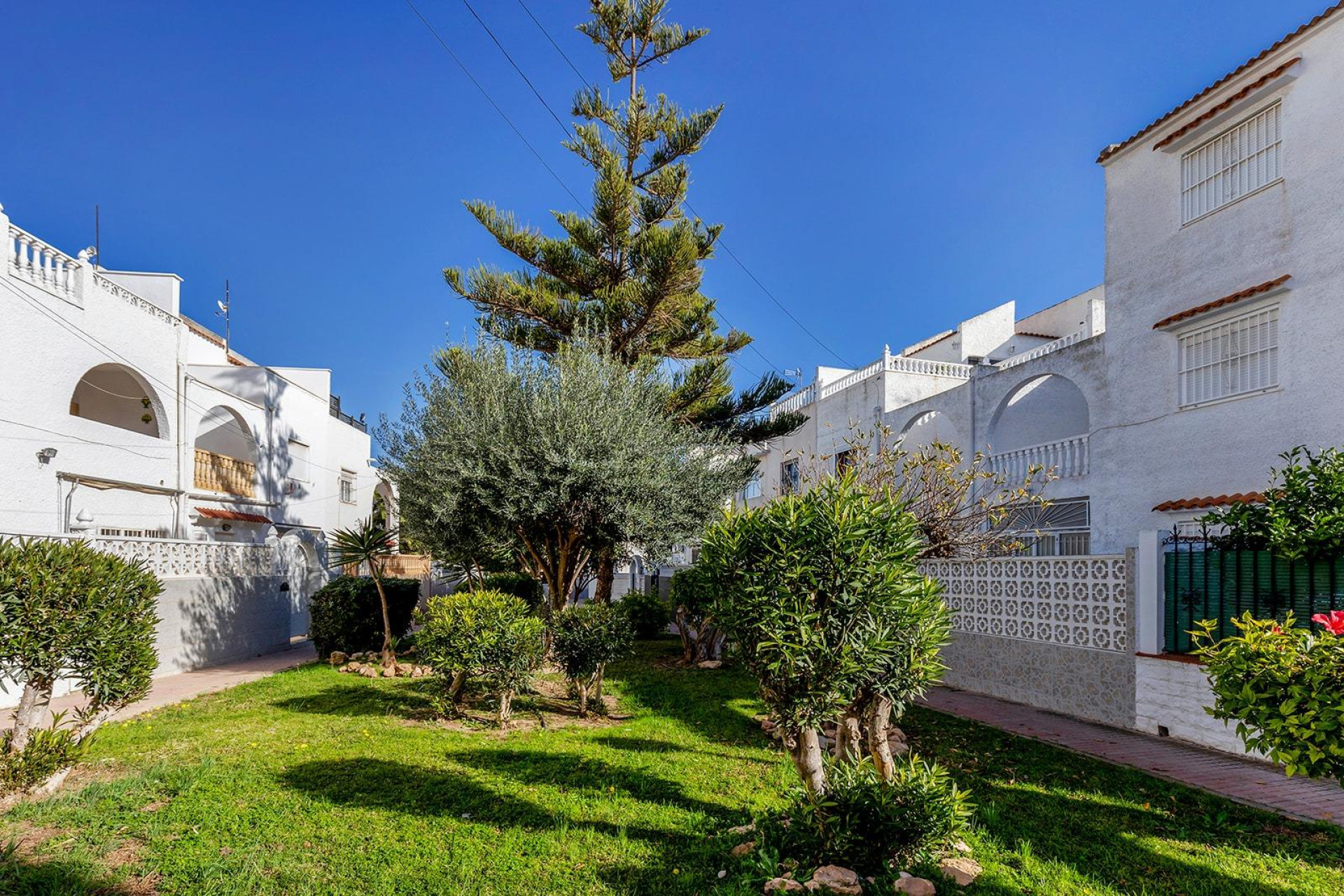Reventa - Terraced house - Torrevieja - Calas blanca