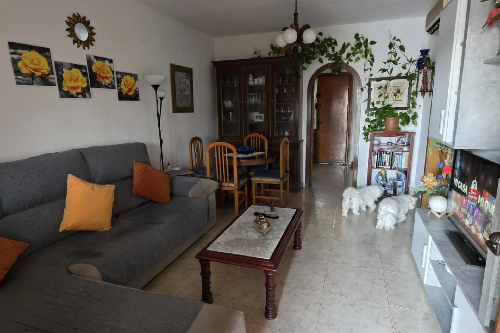 Reventa - Terraced house - Torrevieja - Centro