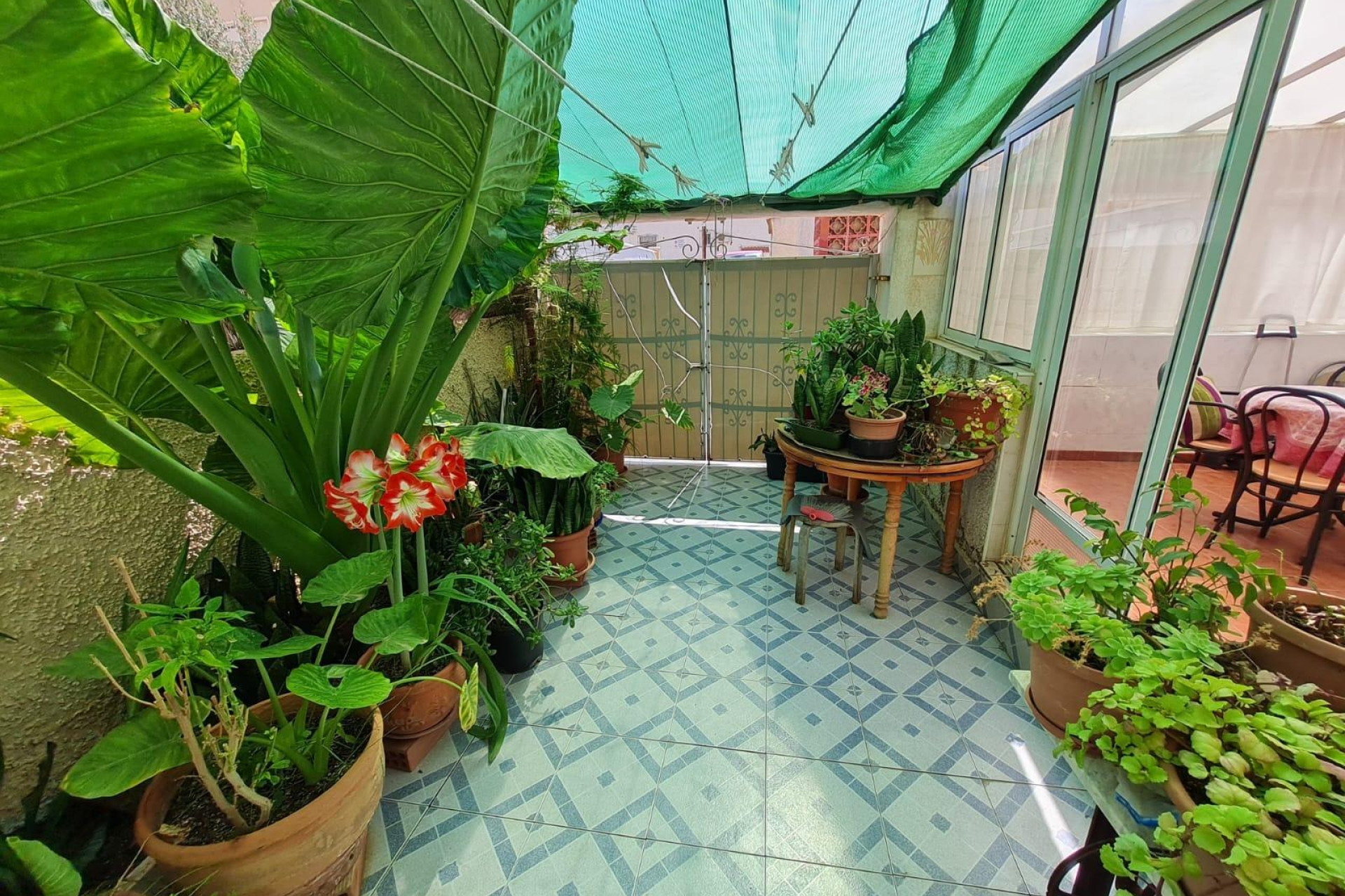 Reventa - Terraced house - Torrevieja - Playa del cura