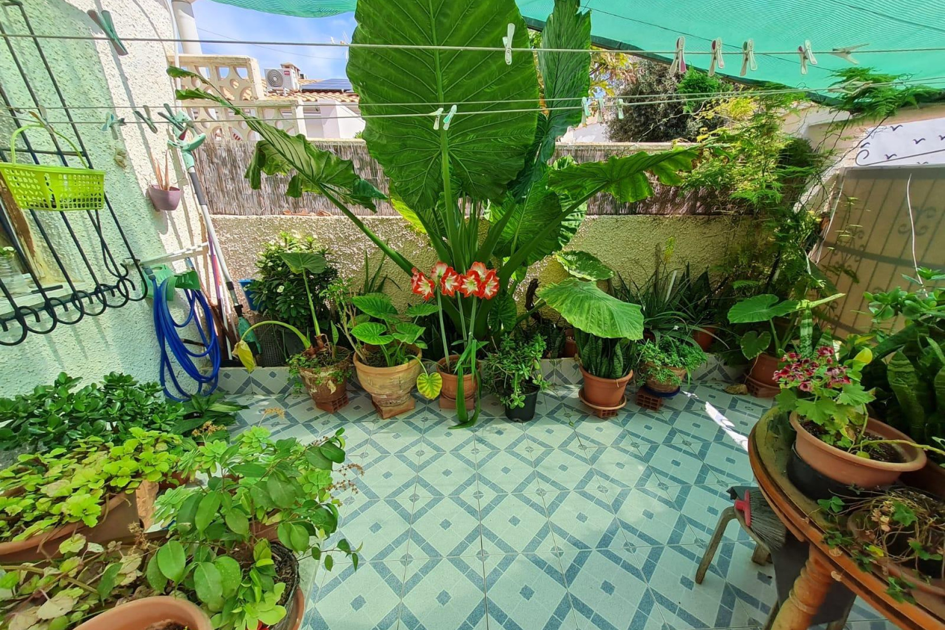 Reventa - Terraced house - Torrevieja - Playa del cura