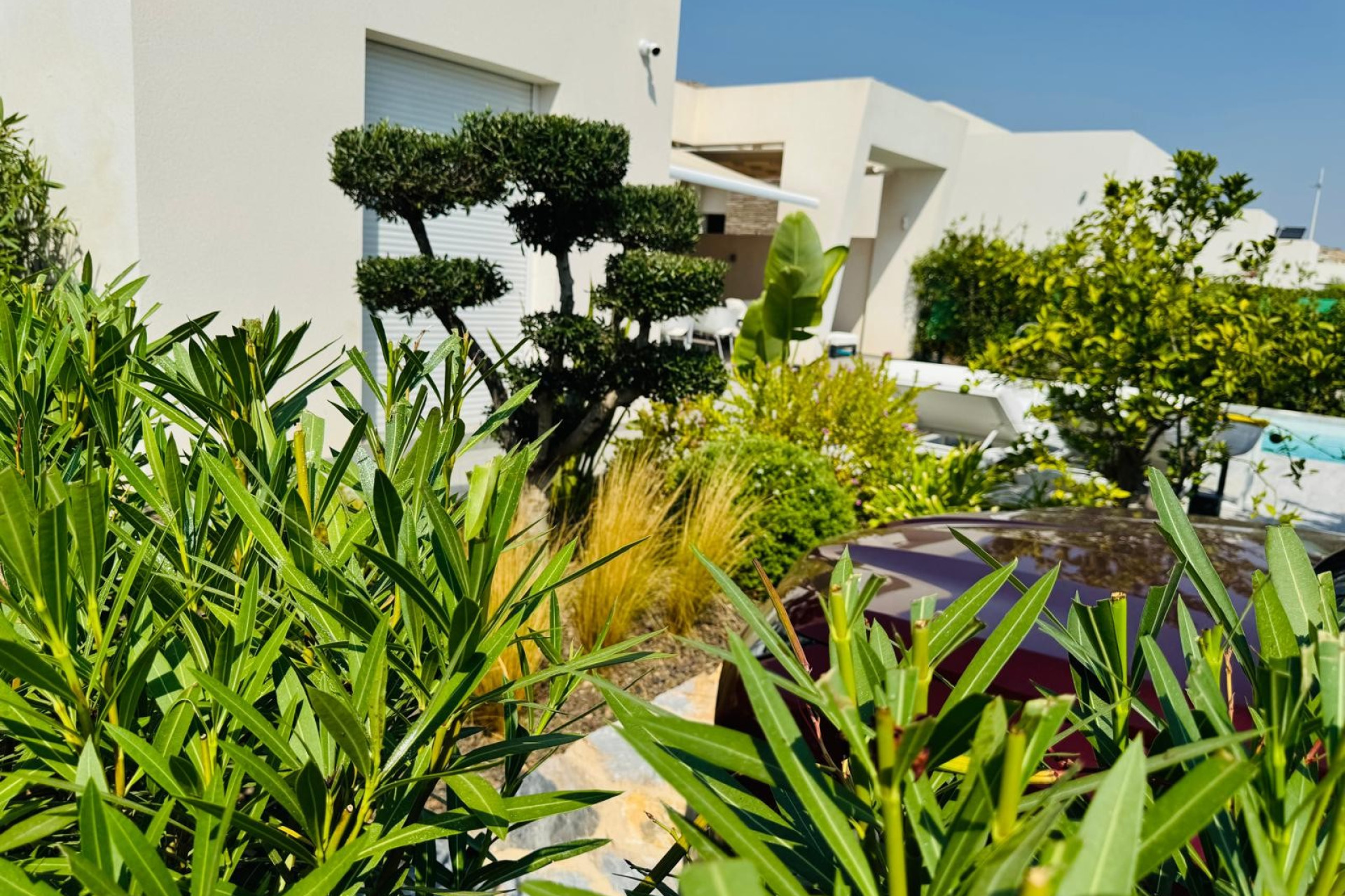Reventa - Villa - Algorfa - La finca Golf