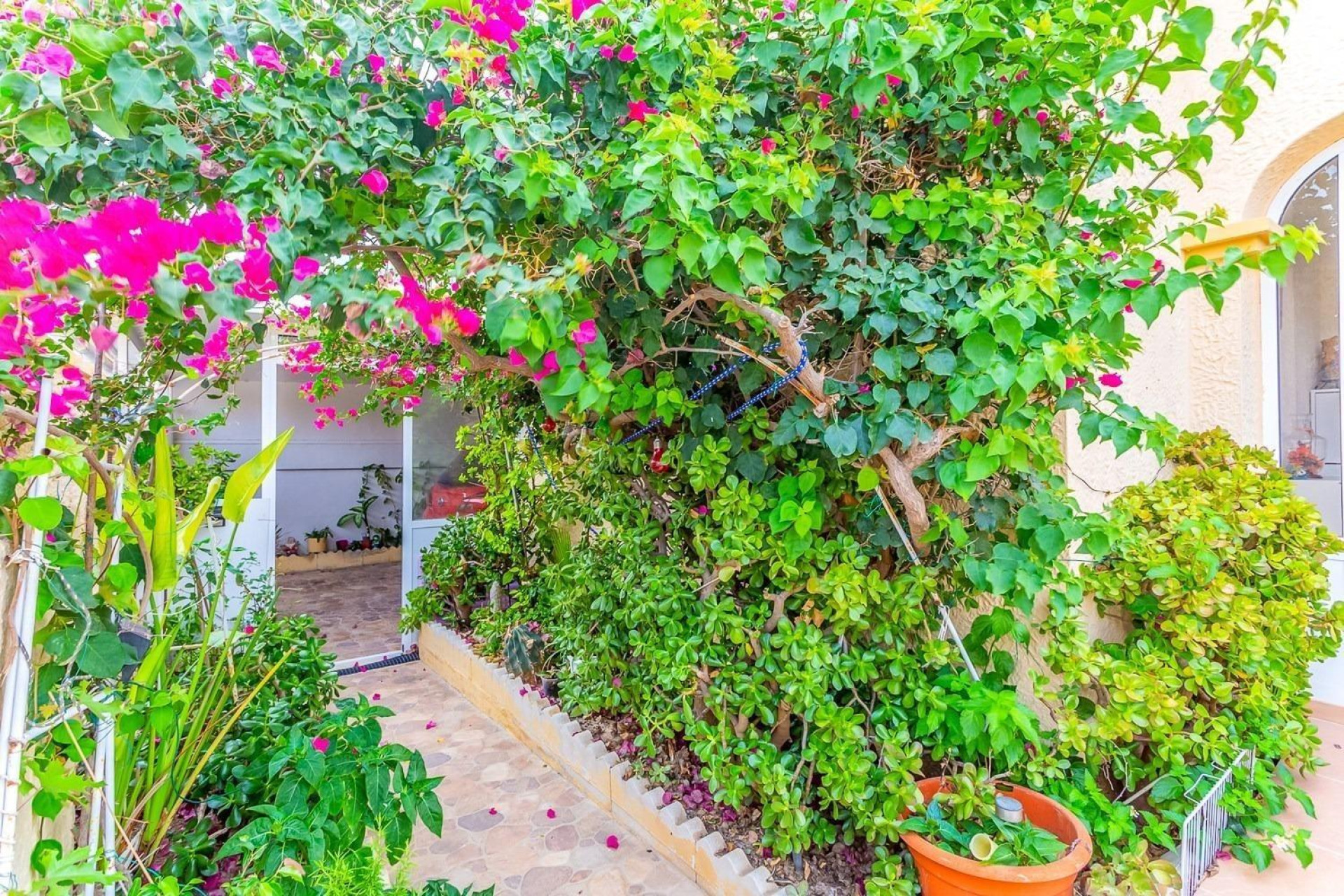 Reventa - Villa - Orihuela Costa - La Zenia