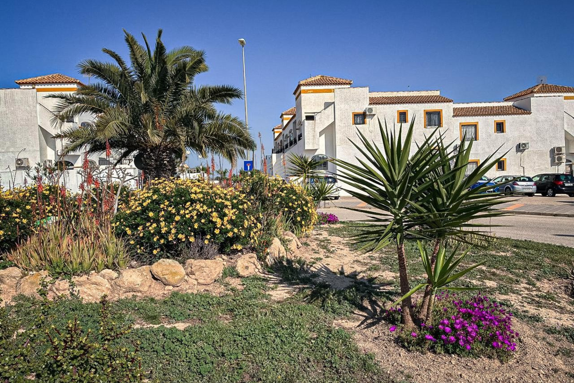 Revente - 1. Apartment / flat - Entre Naranjo - Vistabella Golf - Entre Naranjos Vistabella Golf