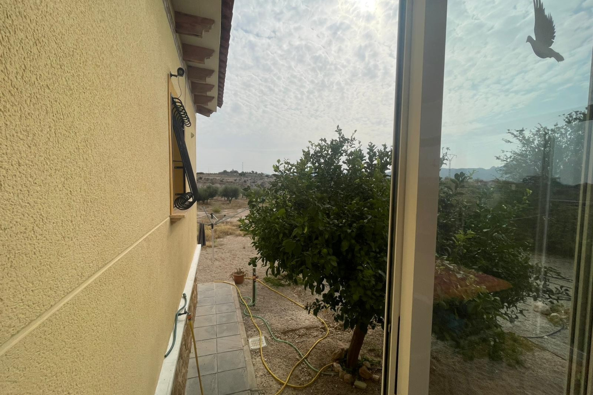 Revente - 5. Finca / Country Property - Abanilla