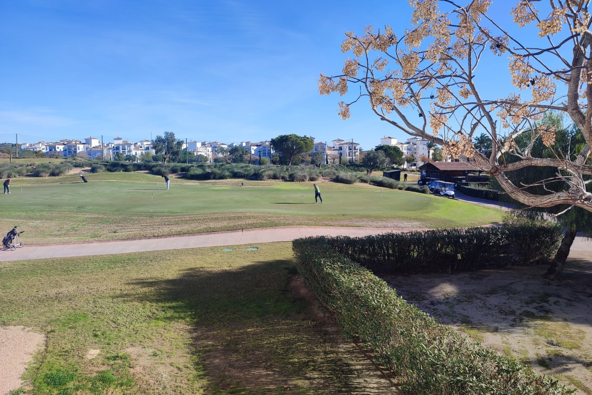 Revente - Apartment - Hacienda Riquelme Golf Resort - Hacienda Riquelme Golf Resort - Centre