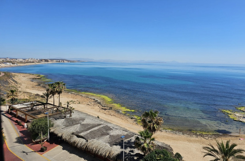 Revente - Apartment - La Mata