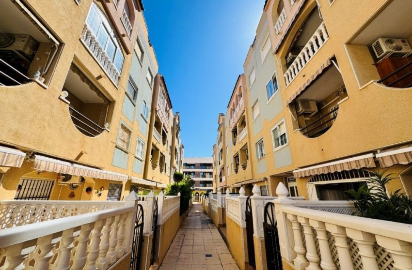 Revente - Apartment - La Mata