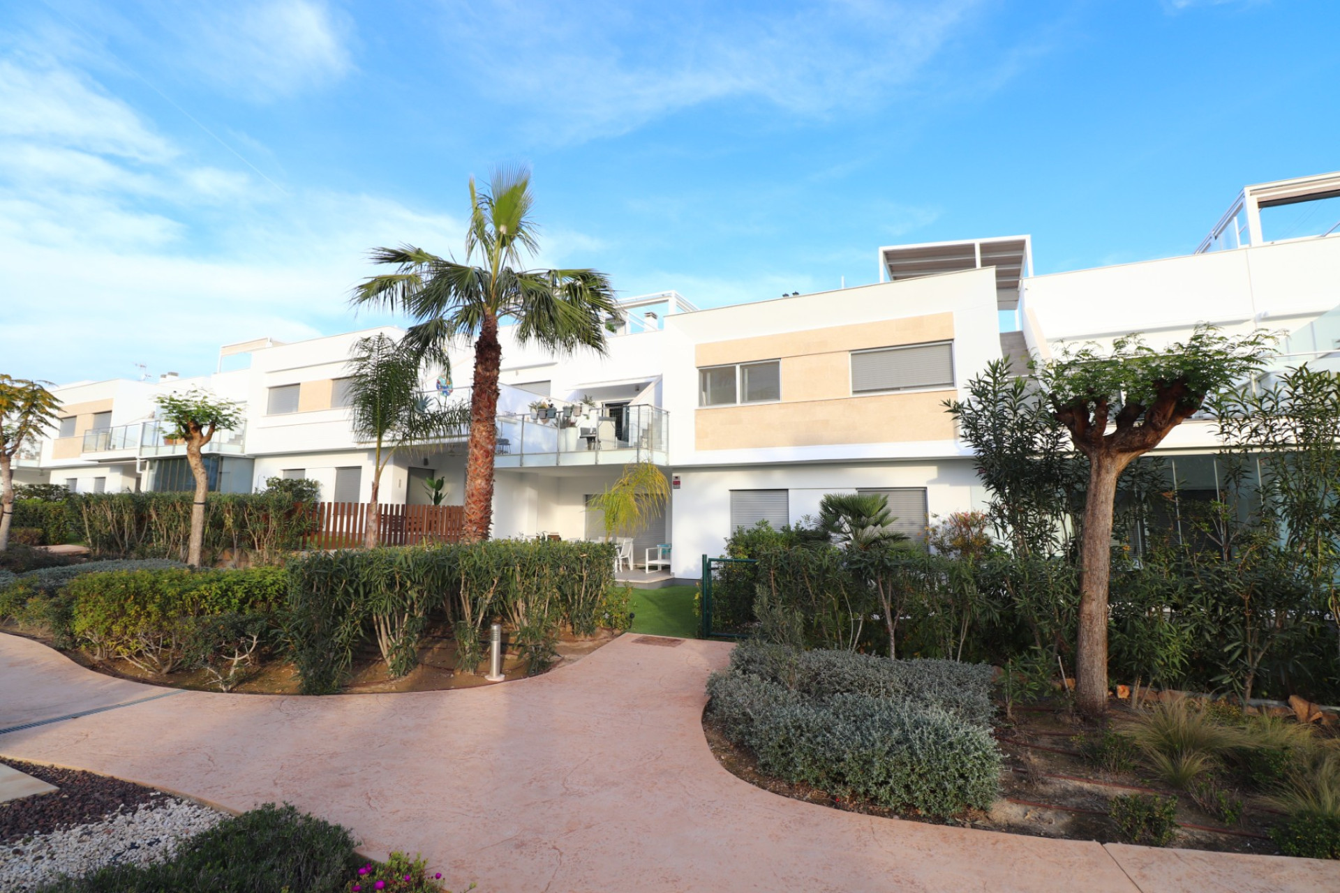 Revente - Apartment - Los Montesinos - Entre Naranjos / Vistabella Golf