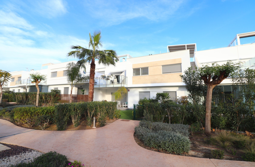 Revente - Apartment - Los Montesinos - Entre Naranjos / Vistabella Golf
