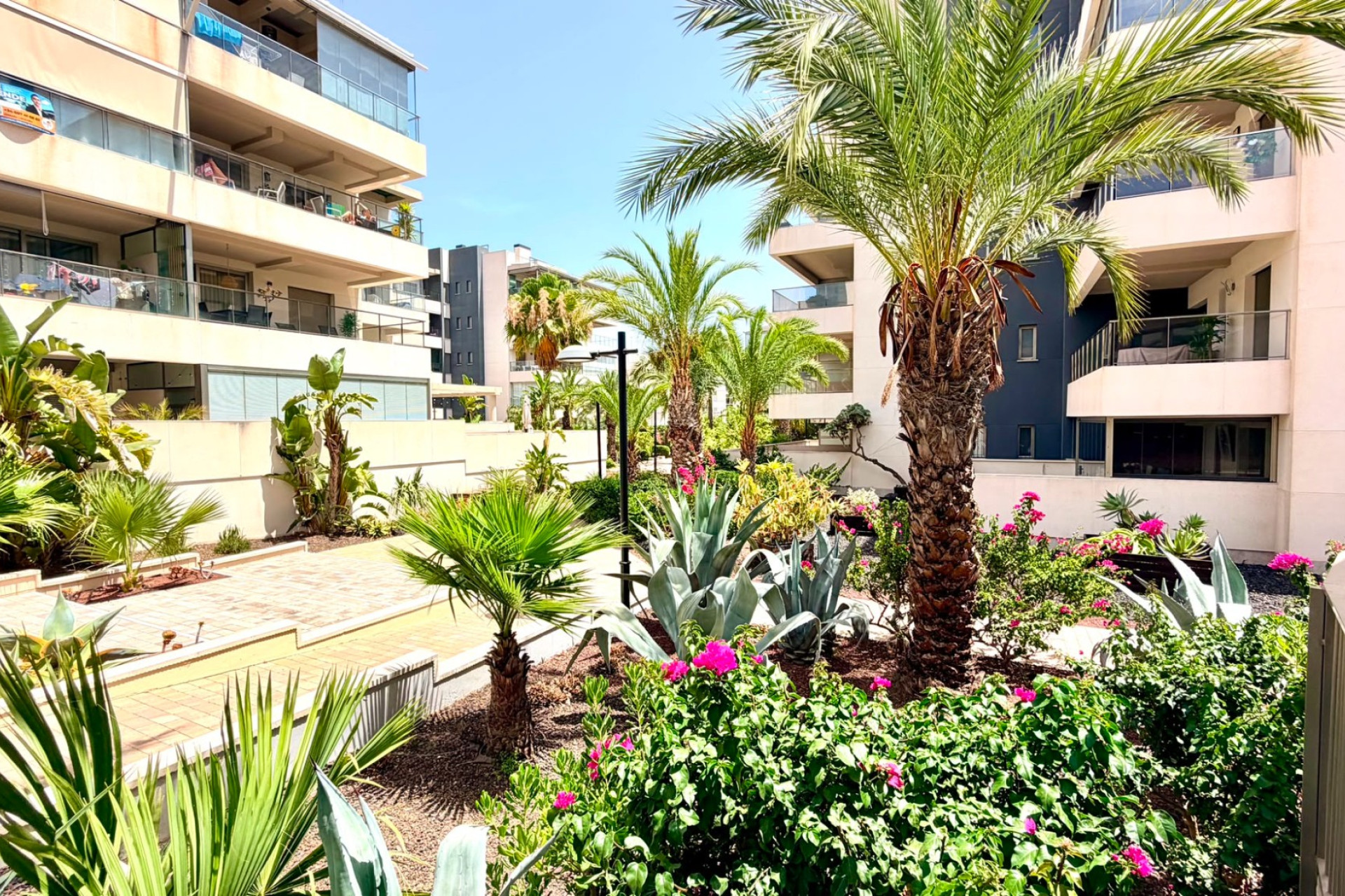 Revente - Apartment - Orihuela Costa - La Zenia